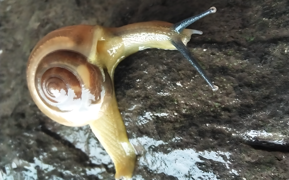 0c83654b-7bf8-492c-a43a-1cfbabbe09df (1)