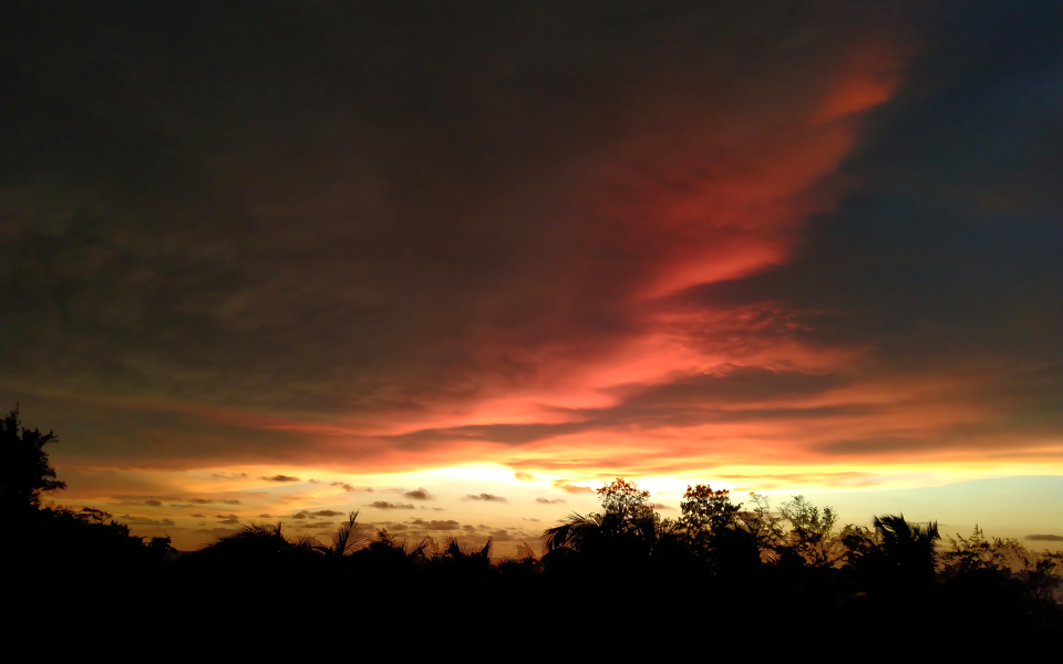 9bcef9b5-80ba-400e-bdac-3739b3ba4686 (3)